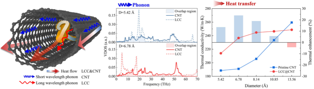 Extraordinary thermal conductivity for carbon nanotube encapsulated linear carbon chain