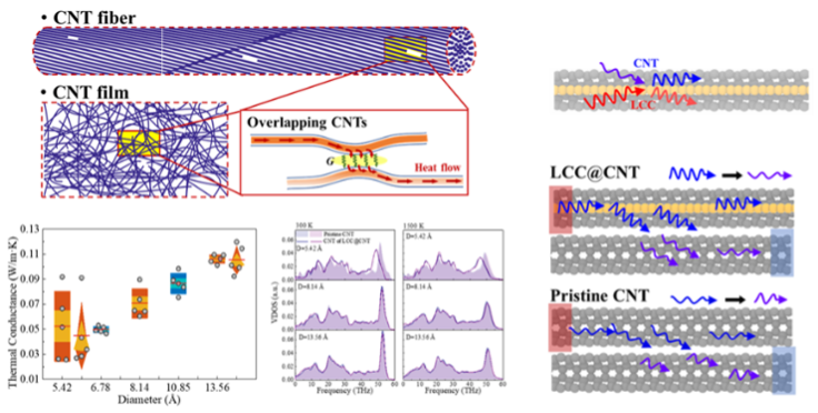 Interfacial heat conduction enhancement mechanism between CNTs encapsulated with LCC