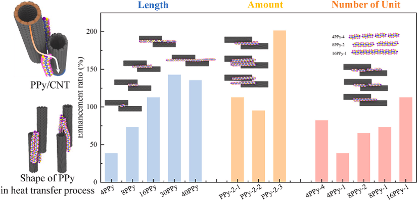 Interfacial thermal conduction mechanism of polypyrrole/carbon nanotube composites