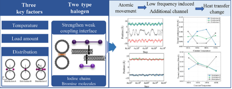 Thermal conductance control of non-bonded interaction between loaded halogen molecules and carbon nanotubes: A molecular dynamics study
